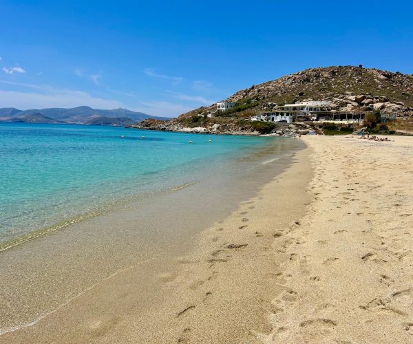 WhatsApp Image 2025-06-03 at 14.37.44_9c041869